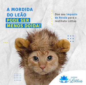 Read more about the article Faça mais feliz a vida de centenas de crianças, jovens e idosos!!